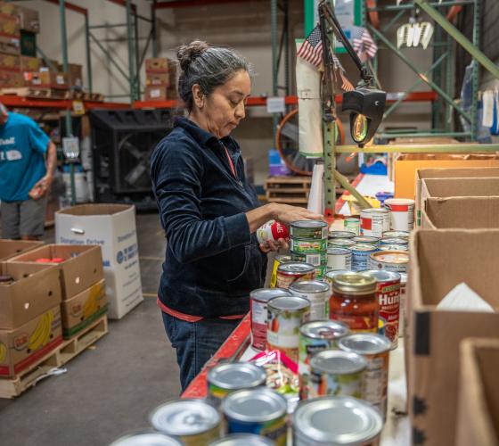 food-rec-volunteer Woman sorting cans into boxes
